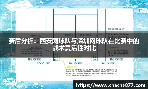 雷竞技raybet官网